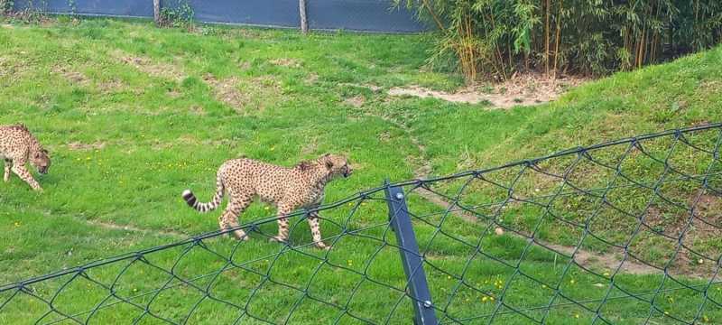 WhatsApp-Image-2025-04-30-at-15.44.20