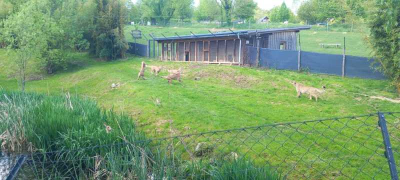 WhatsApp-Image-2025-04-30-at-15.44.21-2