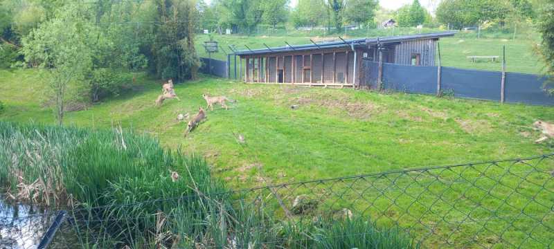 WhatsApp-Image-2025-04-30-at-15.44.21-3