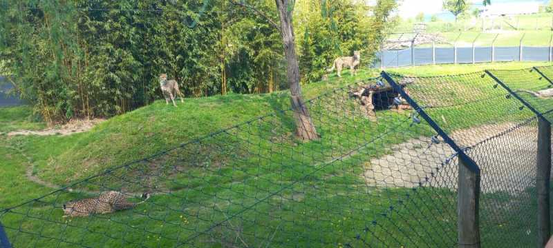 WhatsApp-Image-2025-04-30-at-15.44.22-2