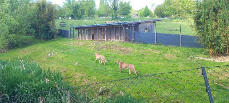 WhatsApp-Image-2025-04-30-at-15.44.22