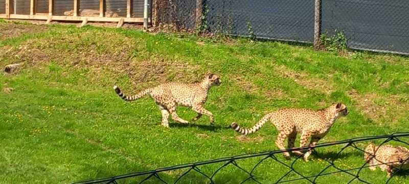 WhatsApp-Image-2025-04-30-at-15.44.23-3