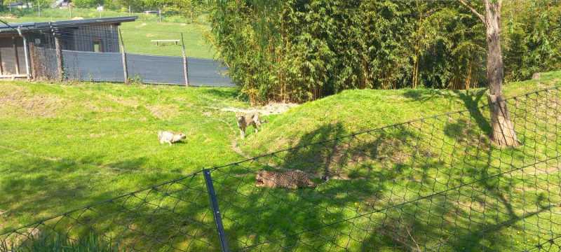 WhatsApp-Image-2025-04-30-at-15.44.23