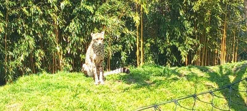 WhatsApp-Image-2025-04-30-at-15.44.24-1