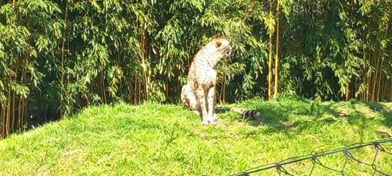 WhatsApp-Image-2025-04-30-at-15.44.24