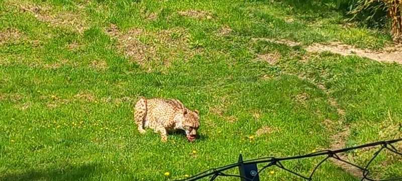 WhatsApp-Image-2025-04-30-at-15.44.25-1