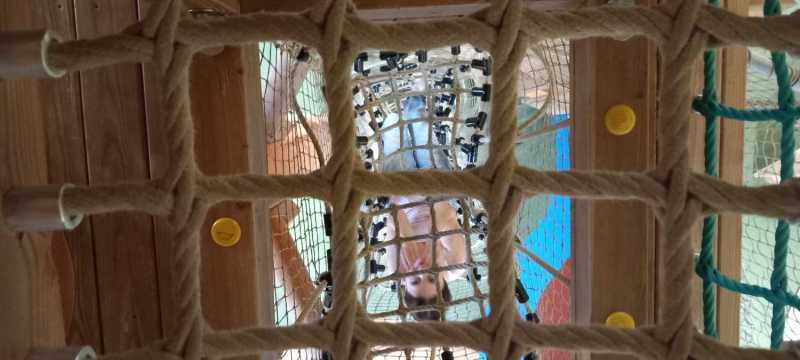 WhatsApp-Image-2025-04-30-at-15.44.38-1