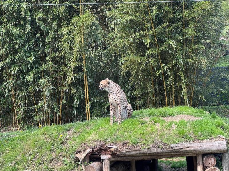 WhatsApp-Image-2025-04-30-at-20.54.22-1