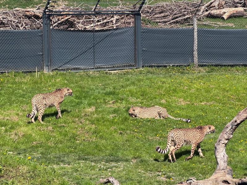 WhatsApp-Image-2025-04-30-at-20.54.22