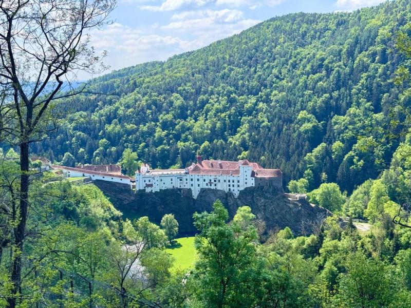 WhatsApp-Image-2025-04-30-at-20.54.23-1