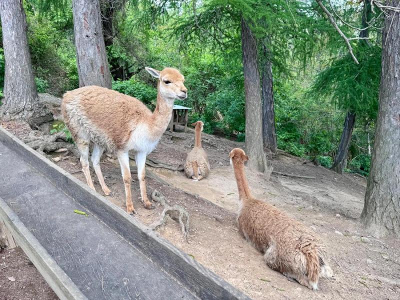 WhatsApp-Image-2025-04-30-at-20.54.23