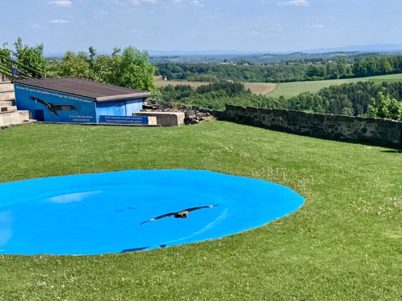 WhatsApp-Image-2025-04-30-at-20.54.26-1