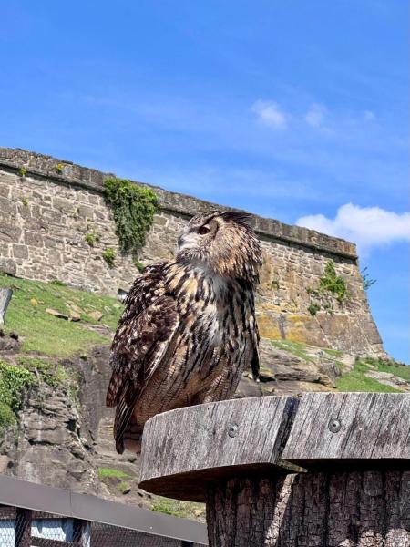 WhatsApp-Image-2025-04-30-at-20.54.27